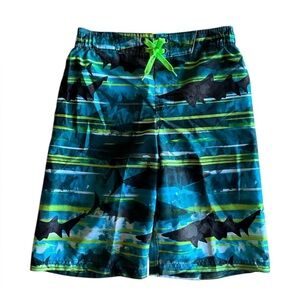 Boy’s Zero Xposur Shark Swim Short
